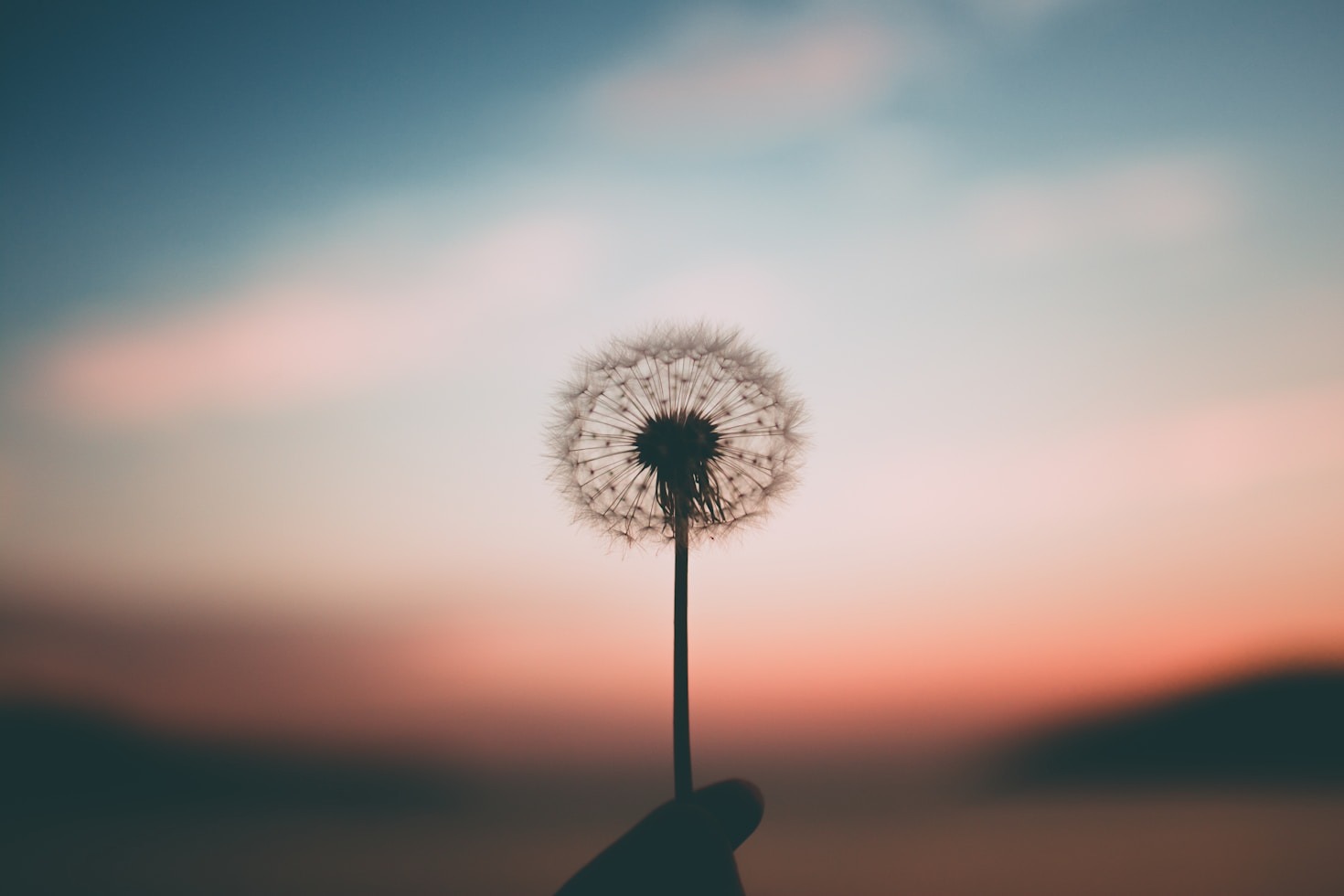 Navigating The Challenges Of Rare Conditions